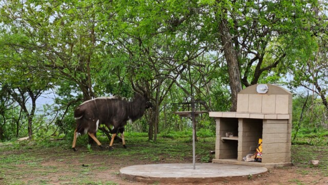 Mpila Camp Hluhluwe-Imfolozi Park
